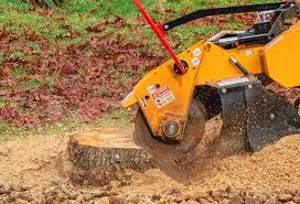  Loughman, FL Tree Removal Pros